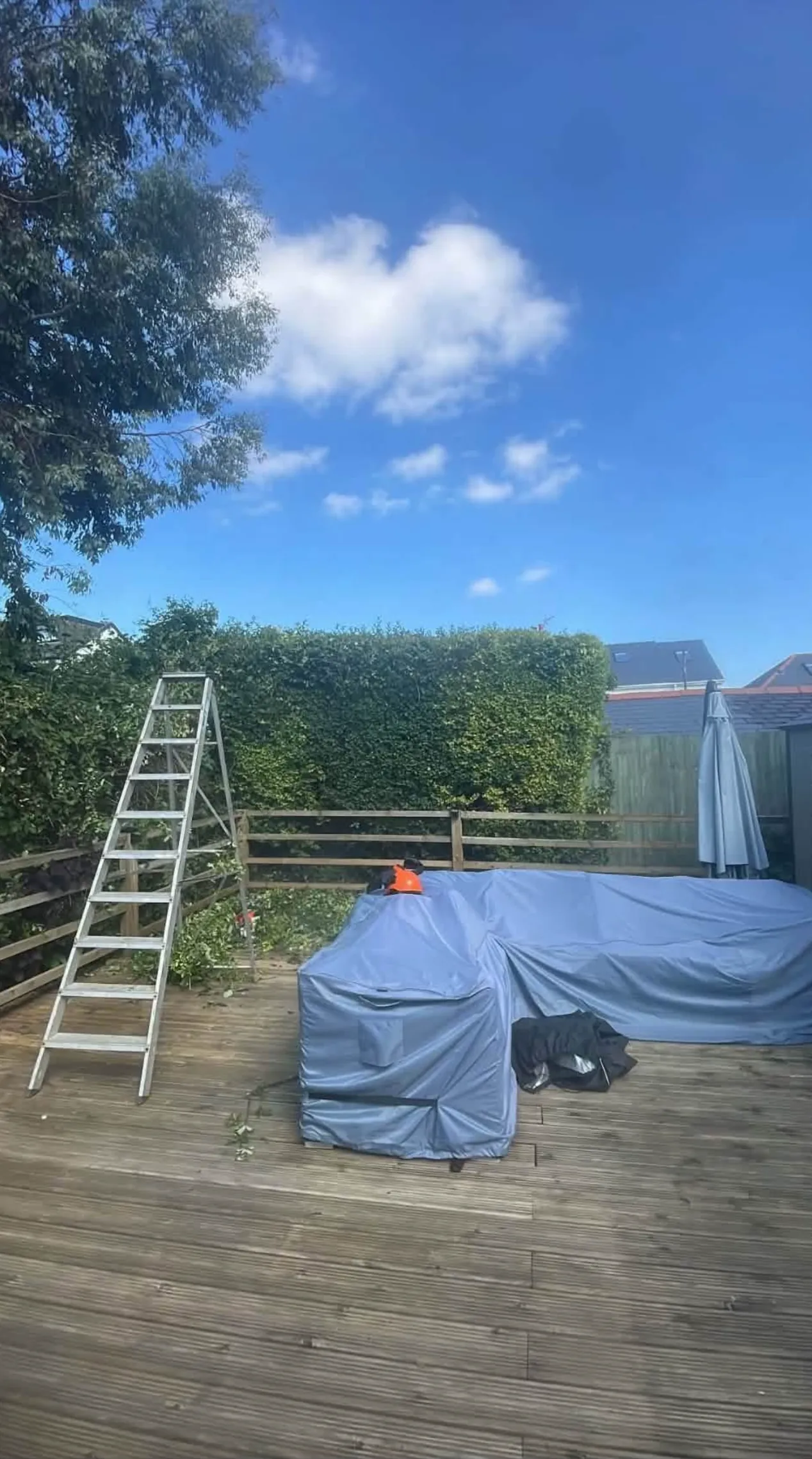 A rear garden with a large timber deck and covered garden furniture, a stepladder to one side and a freshly cut hedge running along the boundary